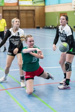 Bild 209 - Frauen HSG Kremperheide/Muensterdorf - HFF Munkbarup : Ergebnis: 28:27